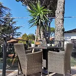 Bellini